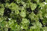 Peridot Crystals in Basalt - Arizona #368604-1